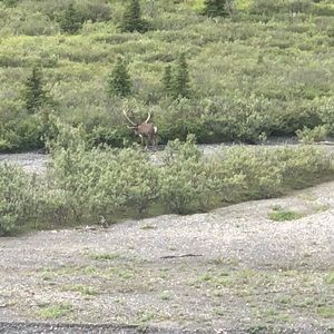 Meet your Posher, Vicky